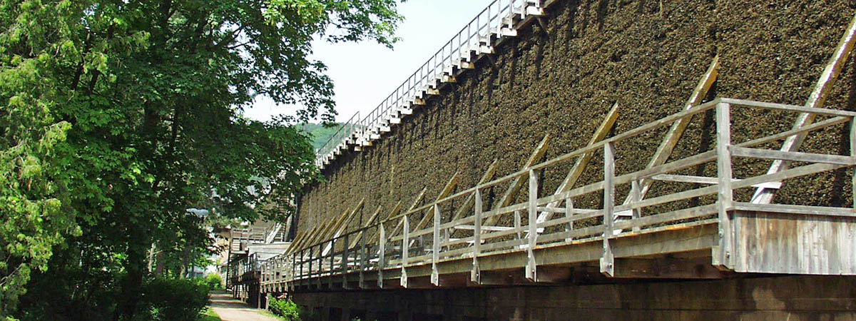 Bad Münster am Stein Hunsrück