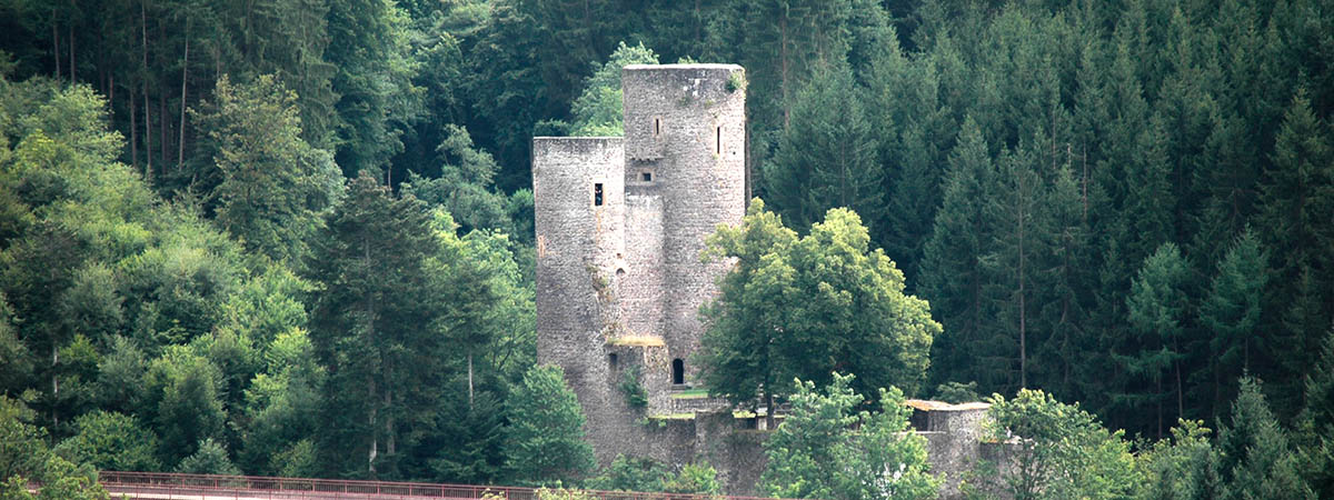 Frauenberg Burgruine Hunsrück