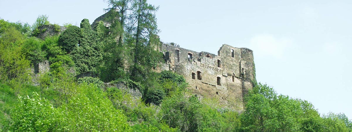Dalberg Burgruine Hunsrück 