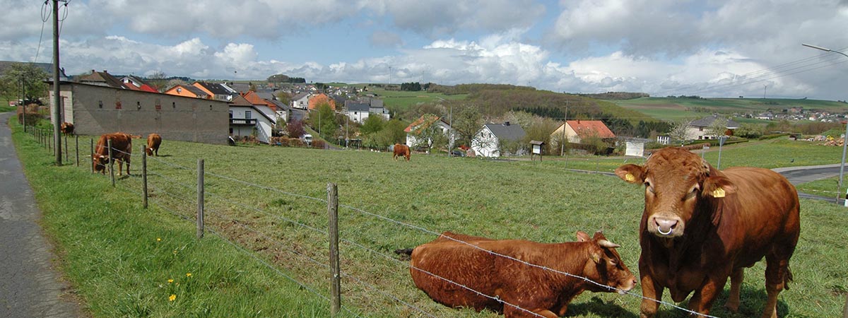 Schömerich Hunsrück 