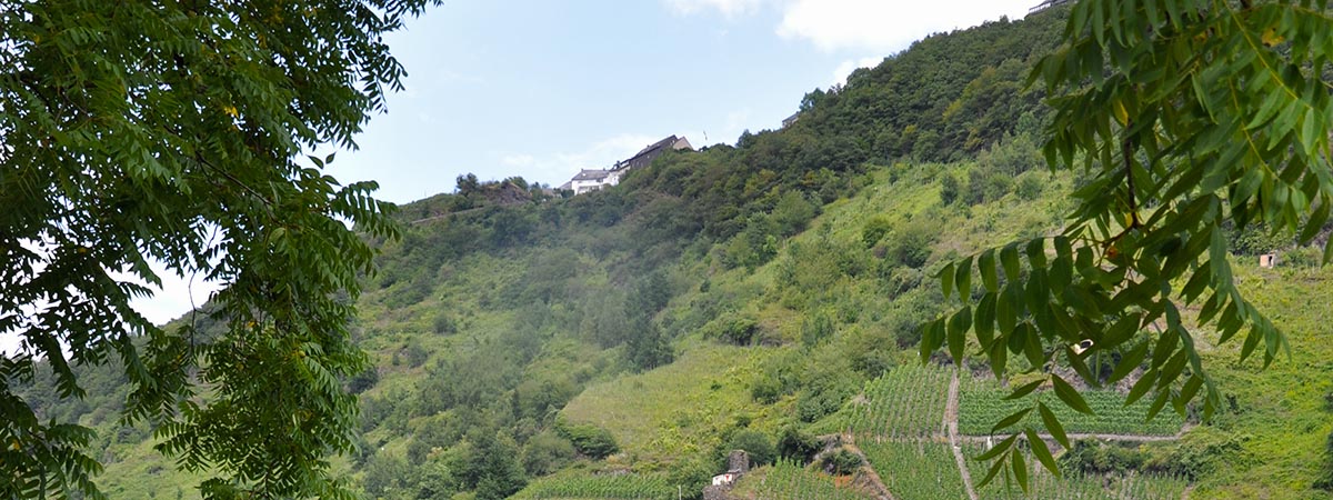 Starkenburg Hunsrück 