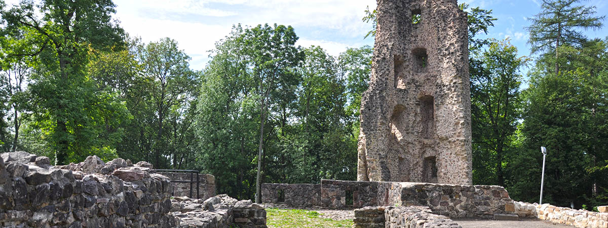 Burg Dagstuhl Hunsrück