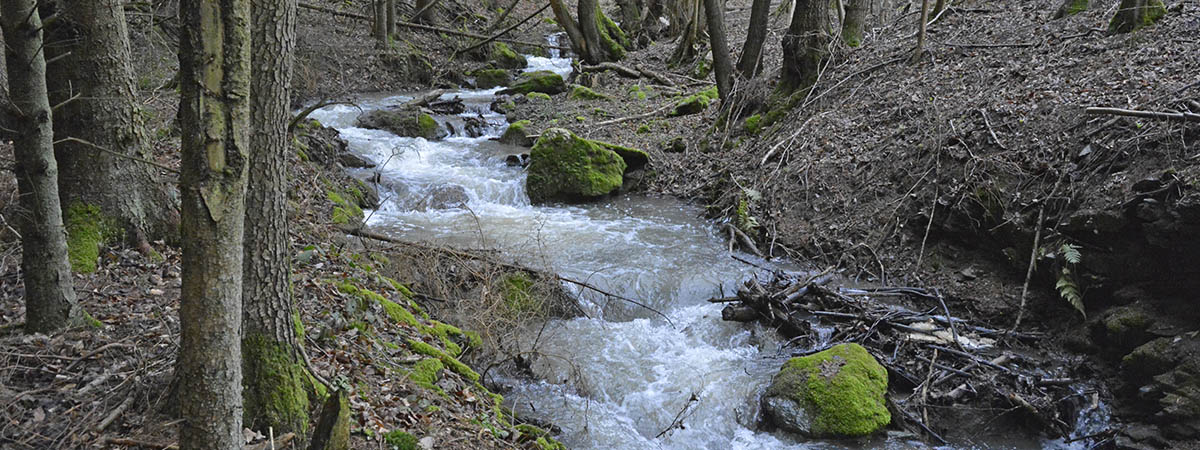 Altlayer Schweiz Hunsrück 