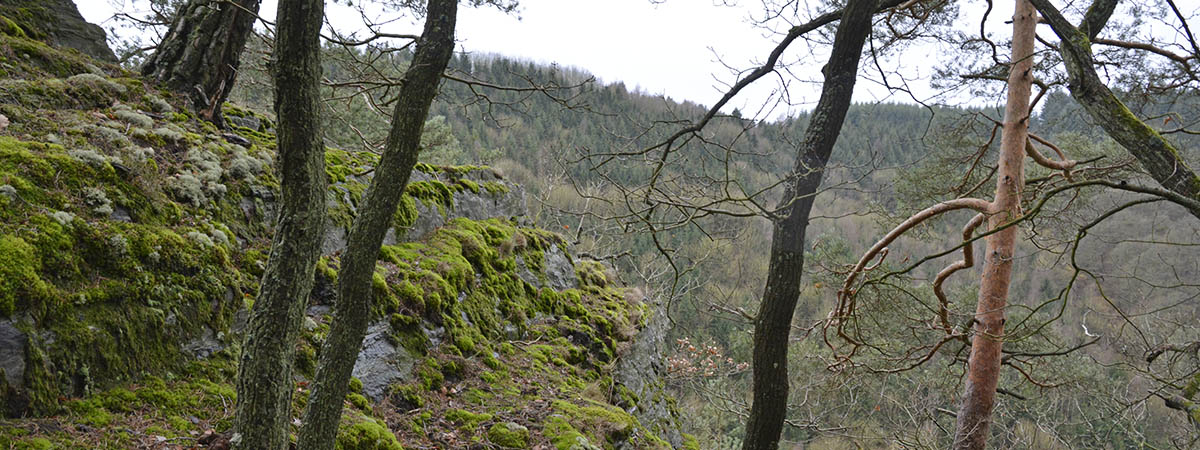 Ehrbachklamm Hunsrück 