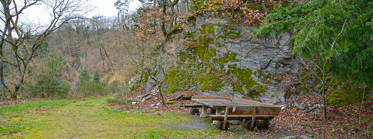 Altlayer Schweiz Hunsrück 